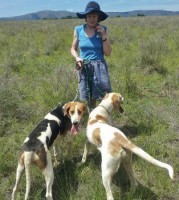/album/trackingdogs/carina-with-2-hounds-3-314x350-jpg/